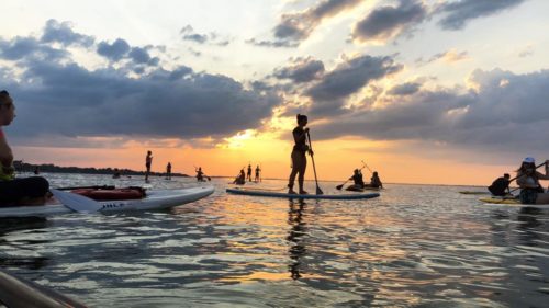 Urban Surf Co.